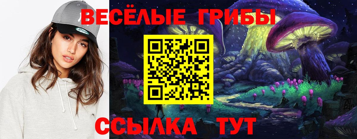 Галлюциногенные грибы Psilocybe  Галлюциногенные грибы Psilocybe  Каспийск  Вход с VPN 